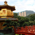Julia_Lange-Hong_Kong