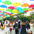 Shadnaz_Shahnazipour-Mexiko
