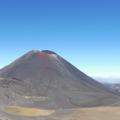 Michelle_Reuters-Neuseeland